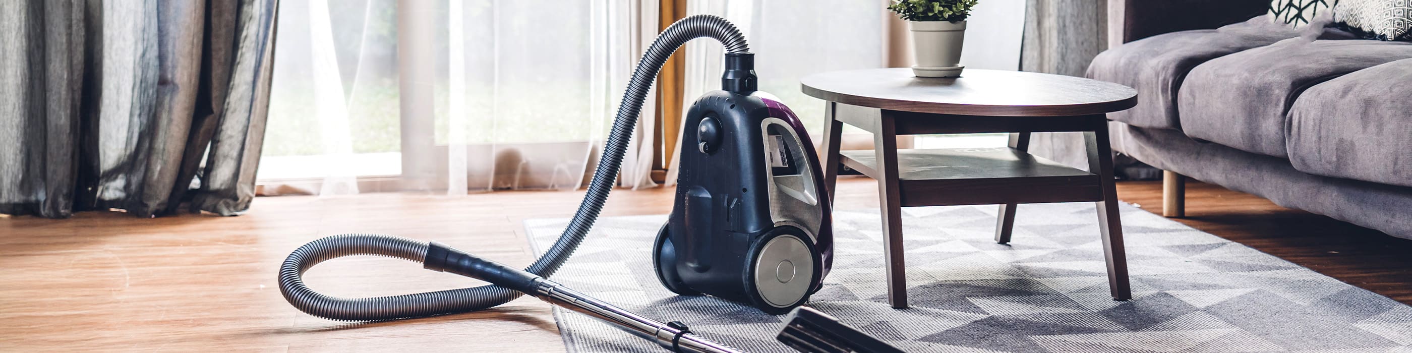 Vacuum cleaner