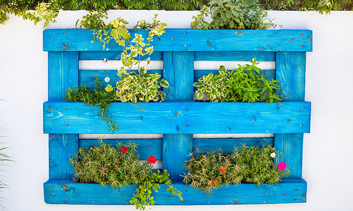 How to dispose of wood pallets_in blog image.jpg