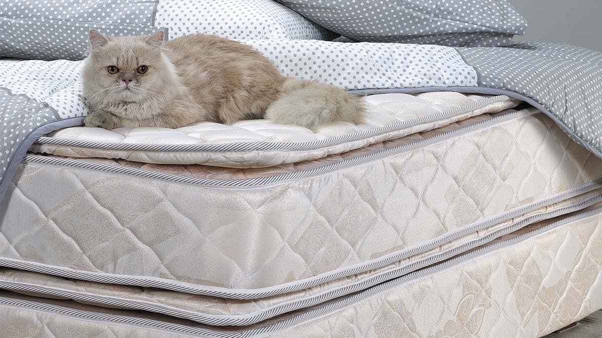 How to dispose of your box spring bed base_top image.jpg