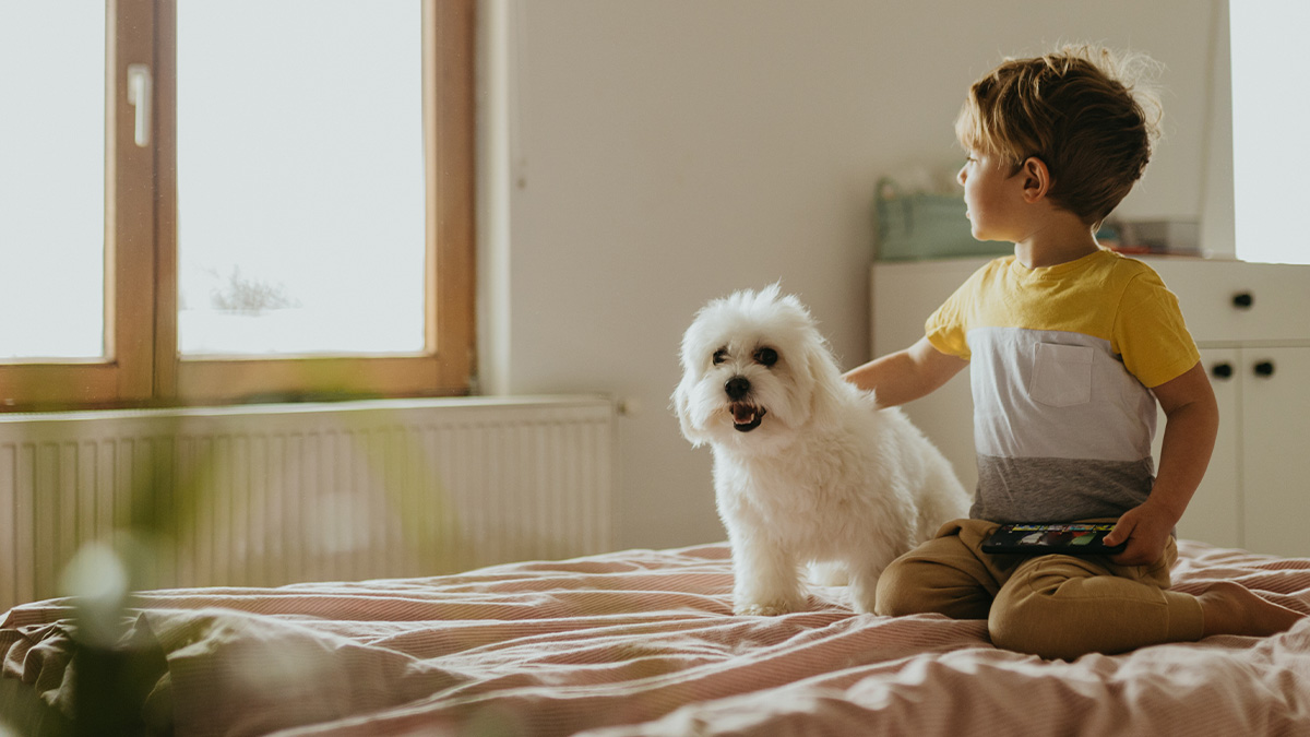 Mattress quality certifications