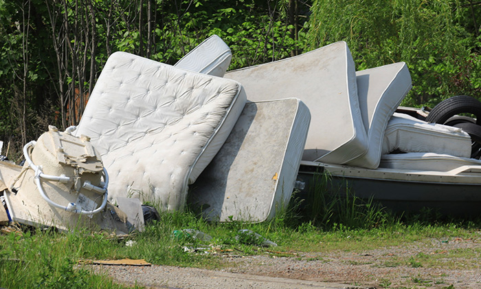 An improperly discarded mattress spoiling the environment.